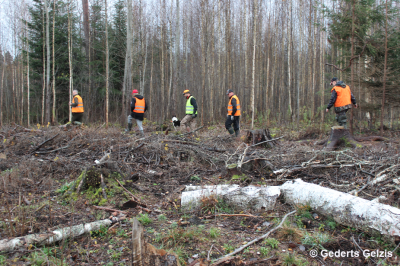 A group of beaters walk in a clearing during hunting